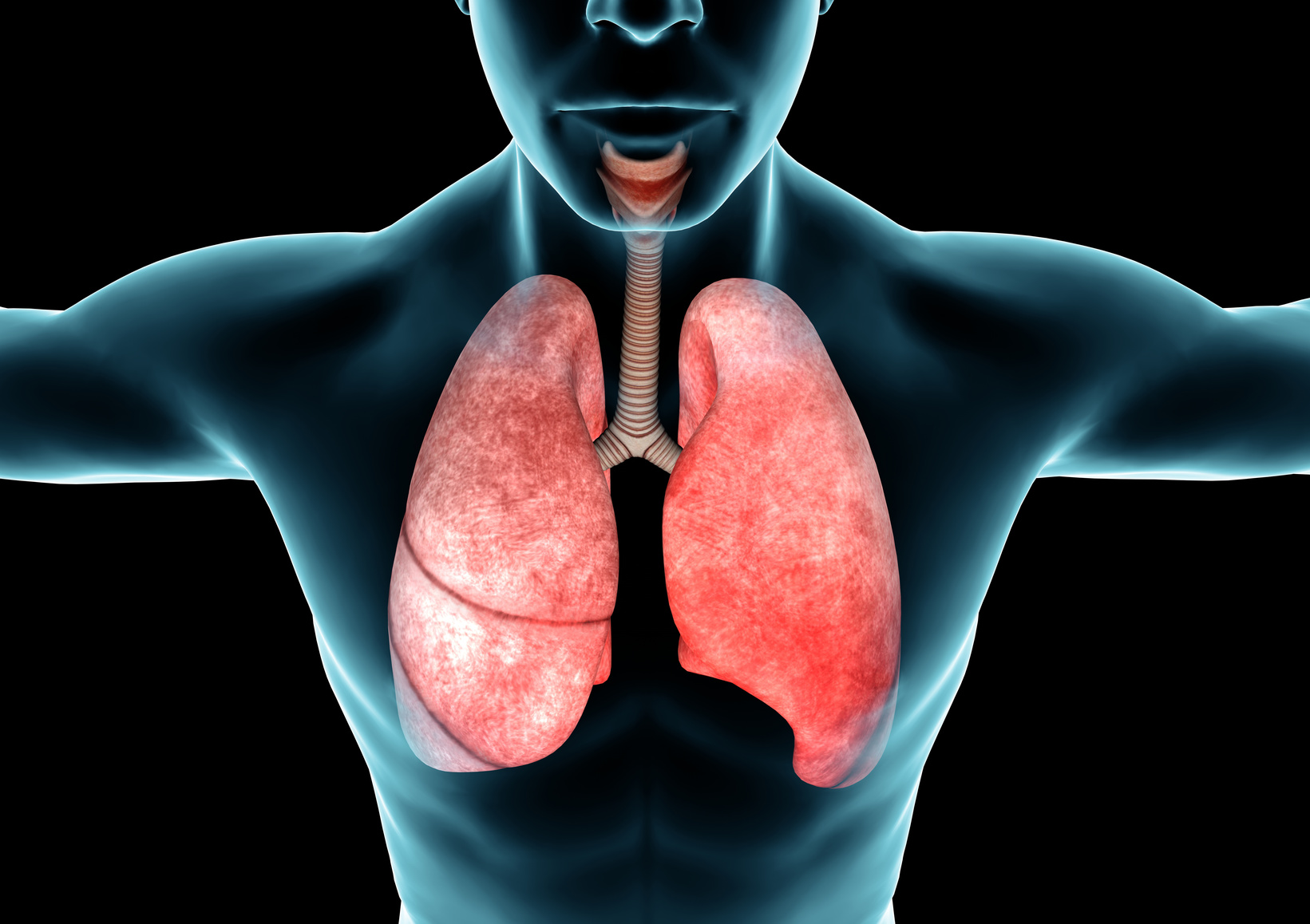 Inizia la Settimana della Fibrosi Polmonare Idiopatica, per conoscerla