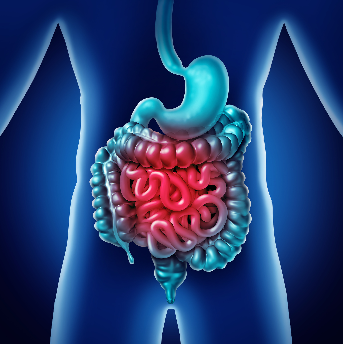 microbiota intestinale